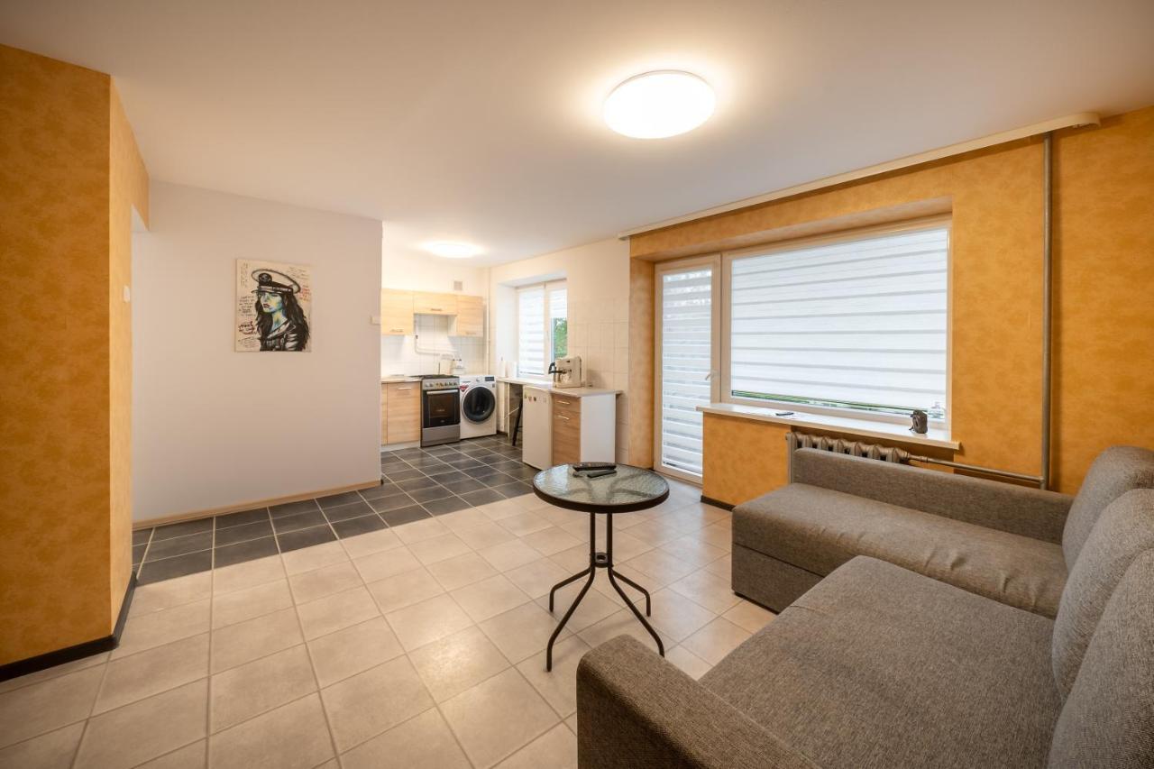 Wonderful Apartment In The City Center Siauliai  Luaran gambar